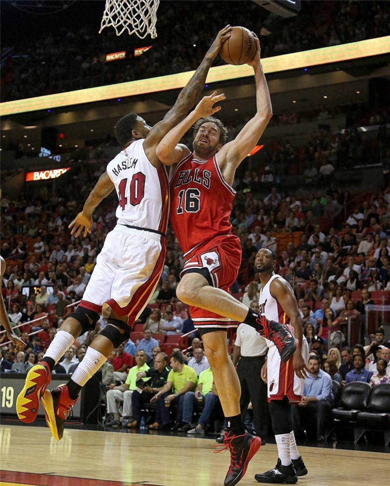 中国跳水队 中国跳水队