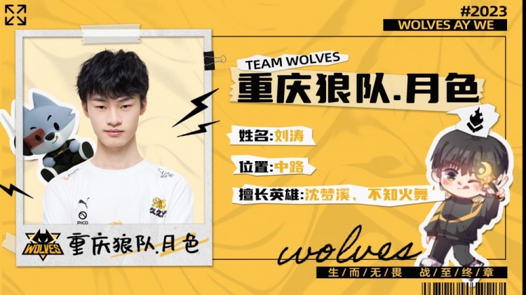 16骑士两
